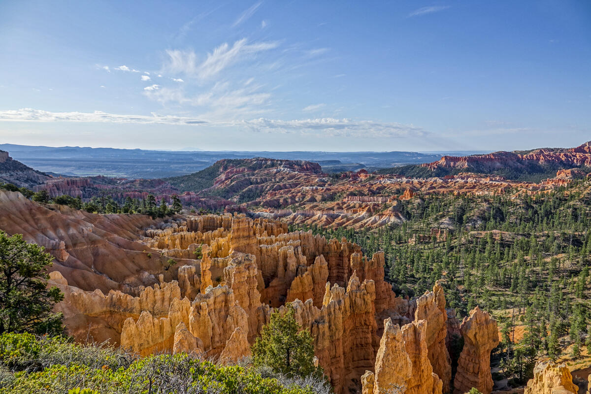 Both Zion and Bryce Canyon have a BARK Ranger program and several dog  friendly areas and trails! Great dog friendly camping/hiking/backpacking  down near Cedar City outside of the parks too. : r/BackpackingDogs