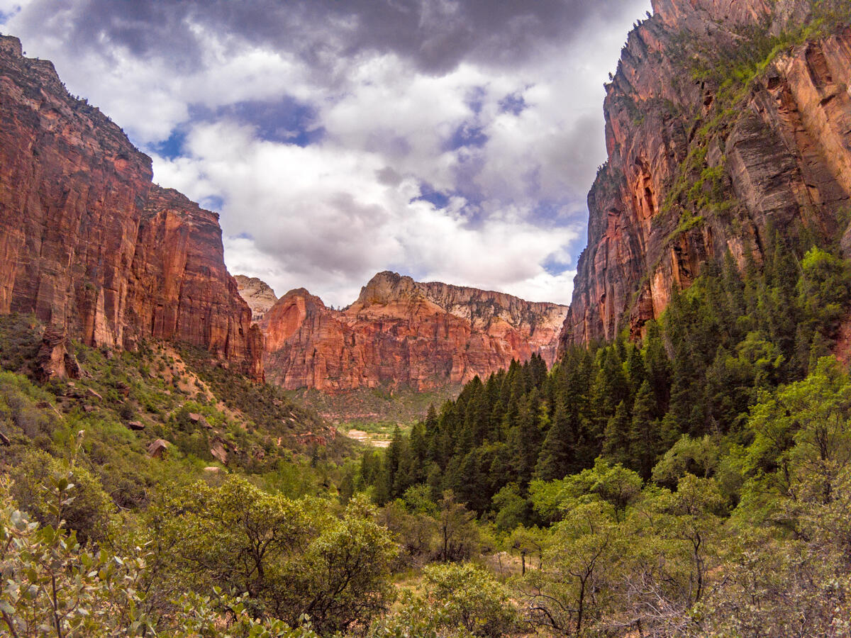 Dog boarding outlet zion national park