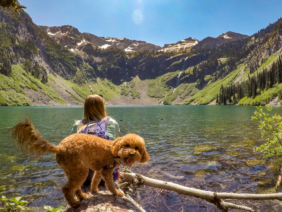 dog friendly, north cascades national park, rainey lake, hiking with pets, gorgeous views