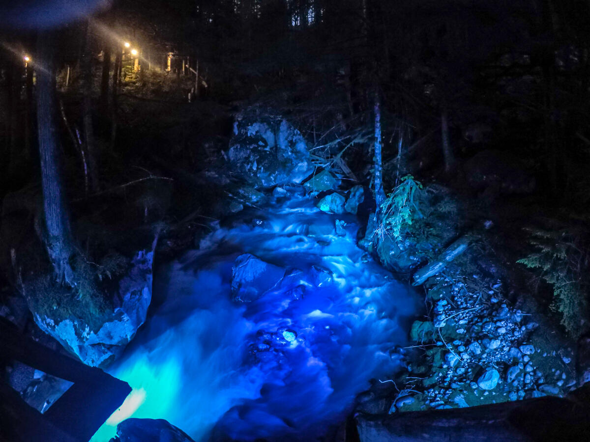 night hike, newhalem, north cascades national park, waterfall