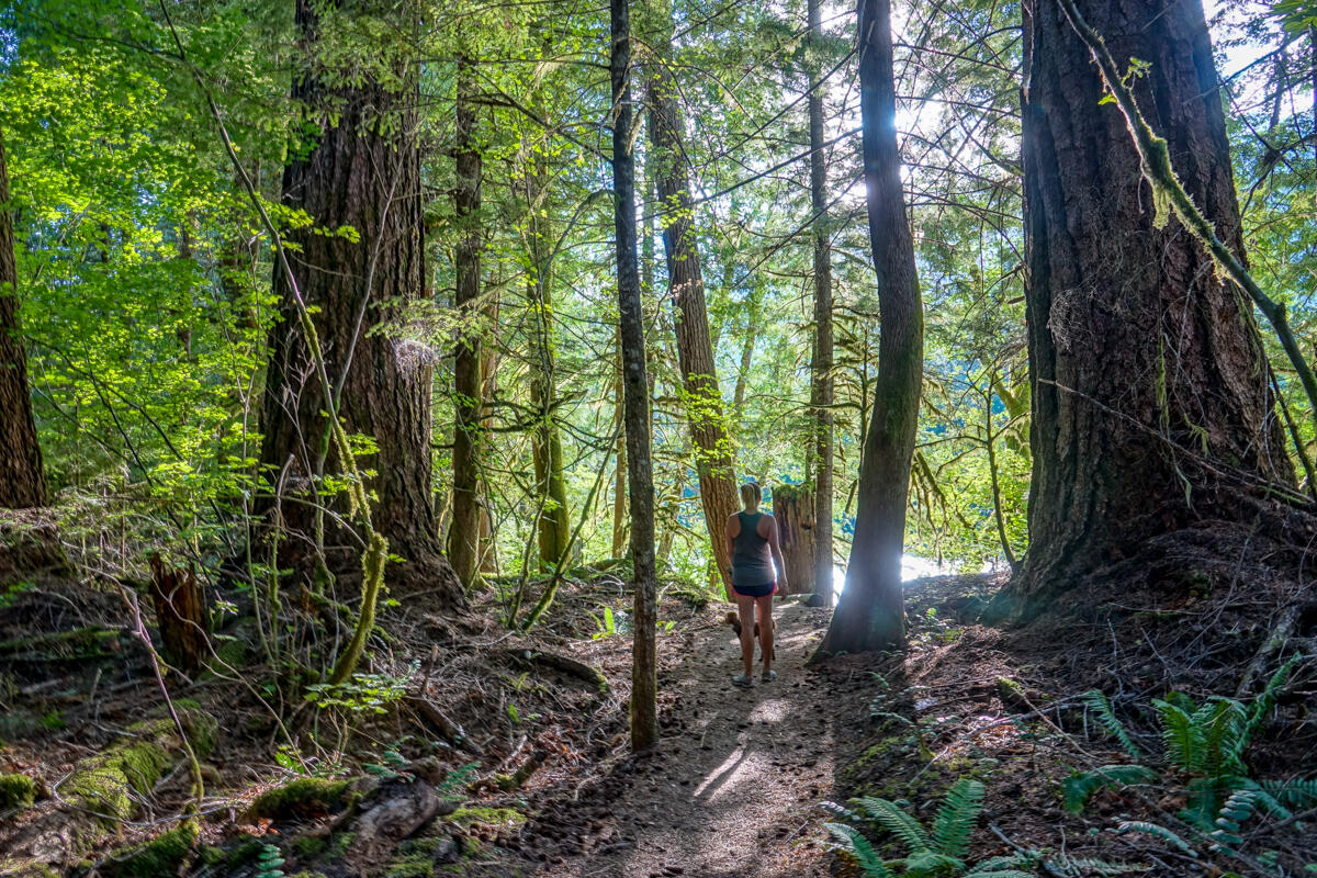 north cascades national park, newhalem campground, hiking, pacific northwest, washington state