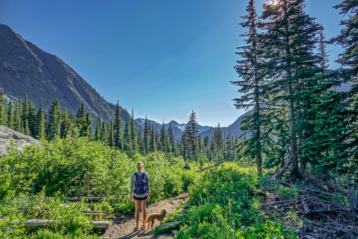north cascades national park, blue lake trail, hiking, with with pets, dog friendly hikes
