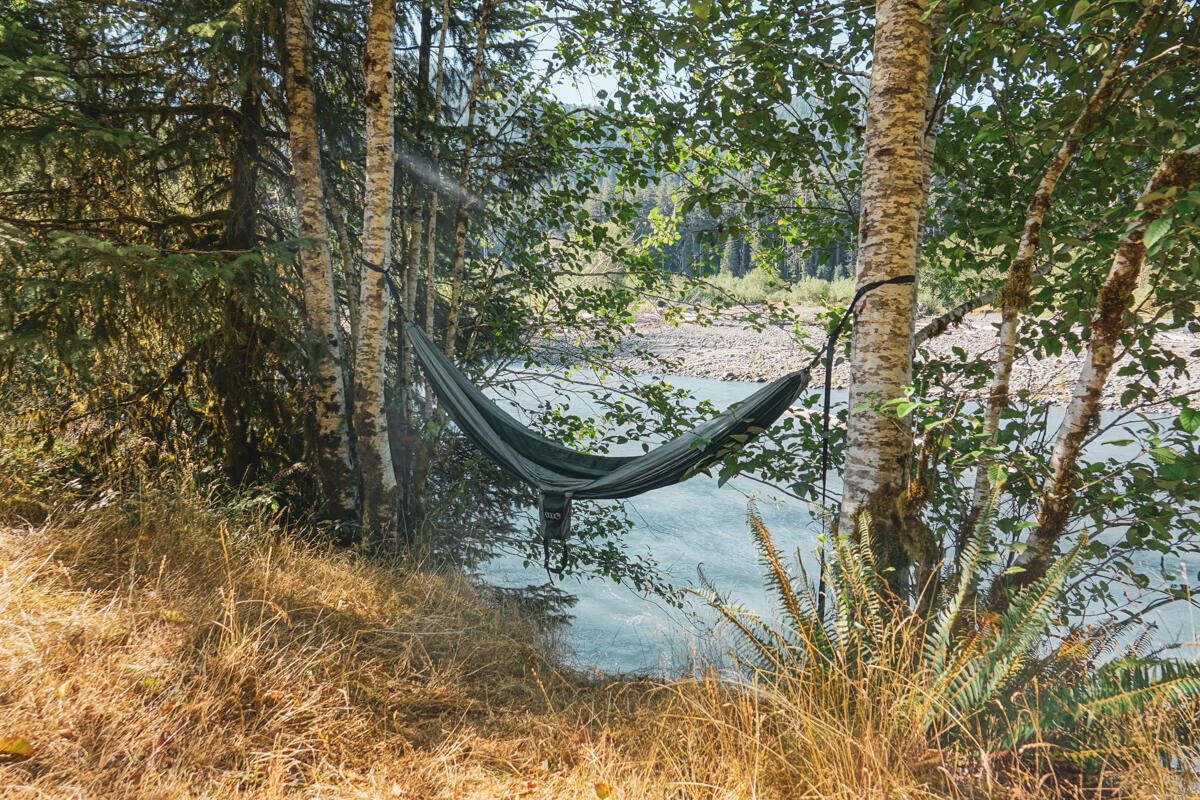 Our hammock at our Hoh Campground spot